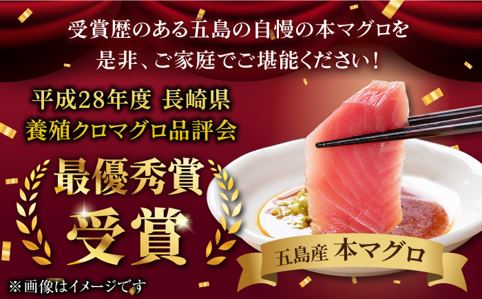 【全3回定期便】本マグロ (養殖) ブロック 詰合せ 計3kg (1kg×3回) 刺身【奥浦海鮮直売所】 [PCL009]