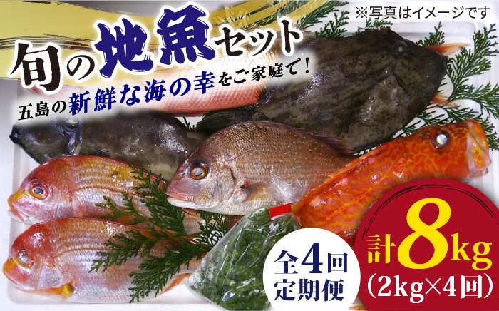 【全4回定期便】 旬の地魚セット 約8kg (約2kg×4回) 鮮魚 新鮮 刺身 五島市 / 五島FF [PBJ002]