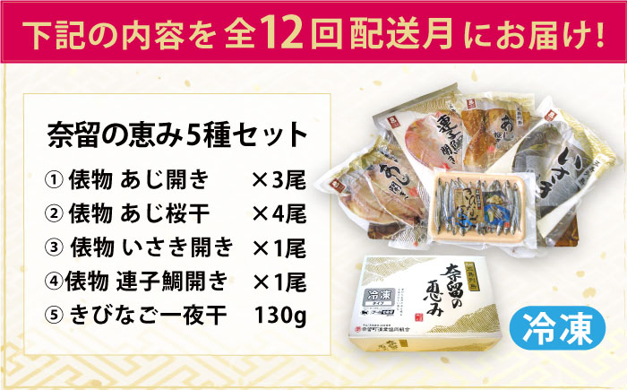 【全12回定期便】長崎俵物 干物 5種セット 五島列島 奈留の恵み ひもの 一夜干し【奈留町漁業協同組合】 [PAT009]