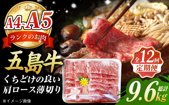 【全12回定期便】極上やみつき五島牛薄切り 800g【肉のマルヒサ】 [PCV030]