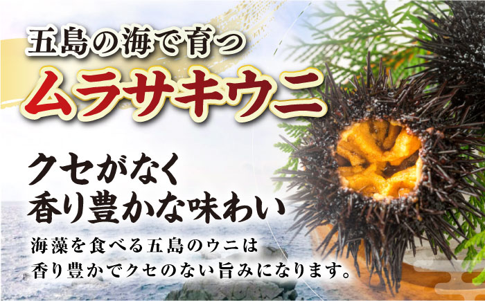 五島産塩ウニ 70g×1本 うに 珍味 ご飯のお供 おつまみ 五島市/有限会社心誠 [PCG016]