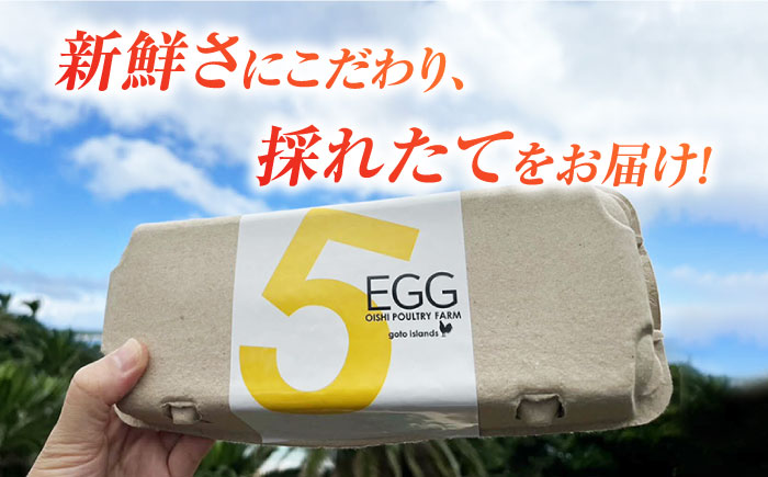 【全6回定期便】【ギフトBOX】平飼たまご ファイブエッグ M〜Lサイズ 20個入 / 5EGG 卵 赤玉子 五島市 / 五島列島大石養鶏場 [PFQ027]