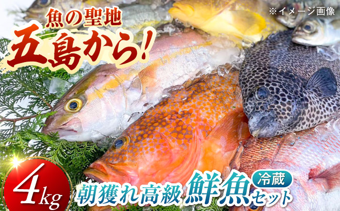 【五島列島直送】朝獲れ高級鮮魚セット4kg 五島市 / 鯛福丸水産[PDP003]  魚 鮮魚 セット 海鮮 直送 さかな 詰合せ 冷蔵