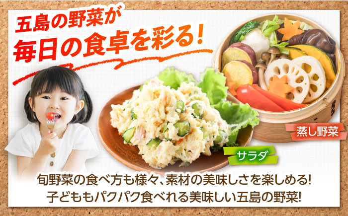【10回定期便】旬野菜セット7〜10品目（五島列島産） 5kg未満　五島市/やぁしゃ便 [PBG008]