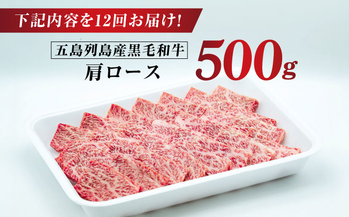 【全12回定期便】五島列島産 黒毛和牛 焼肉用 肩ロース 500g 五島市/山口Farm [PGJ008]