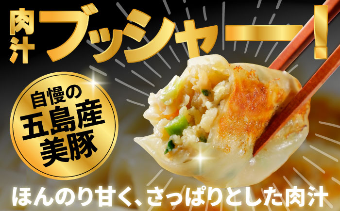 【3回定期便】美豚餃子75個（15個×5袋） 五島市/長崎フードサービス[PEL006]  冷凍 餃子 飲茶 中華 ぎょうざ ギョウザ