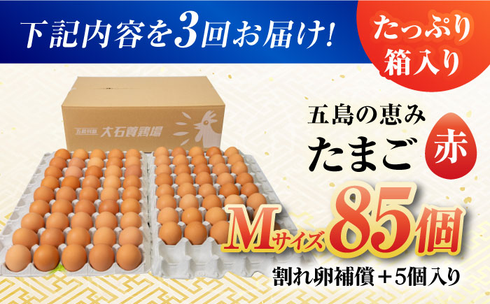 【全3回定期便】【お得な箱入り】五島の恵みたまご Mサイズ 85個入 / 卵 赤玉子 五島市 / 五島列島大石養鶏場 [PFQ014]