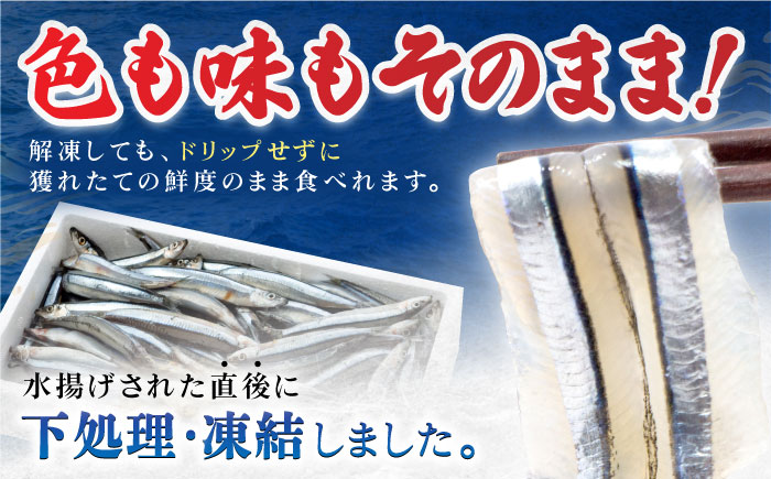 【最速発送】五島産 きびなご 刺身用 20尾×9P 五島市/鯛福丸水産 [PDP001]