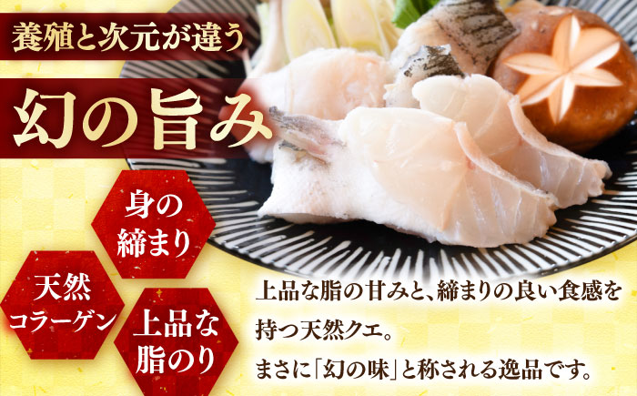 【6回定期便】クエ鍋用クエパック500g×2 五島市/金沢鮮魚[PEP051]クエ くえ 鍋 お鍋 冬 高級 贅沢
