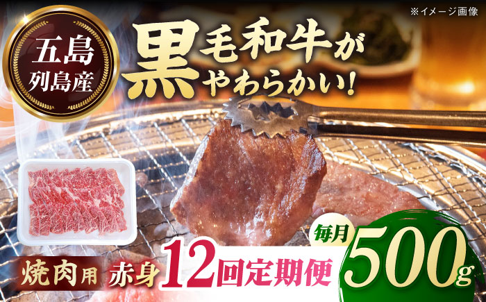 【全12回定期便】五島列島産 黒毛和牛 焼肉用 赤身 500g 五島市/山口Farm [PGJ016]