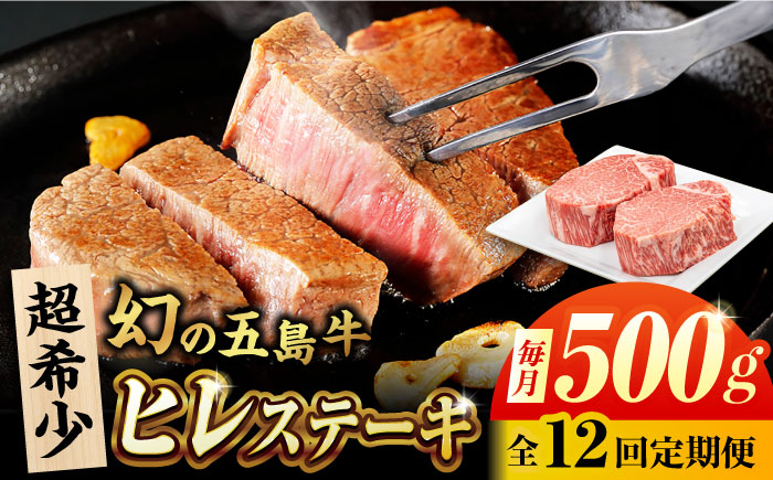 【12回定期便】五島牛 ヒレ 250g×2枚 五島市/ごとう農業協同組合 [PAF099]