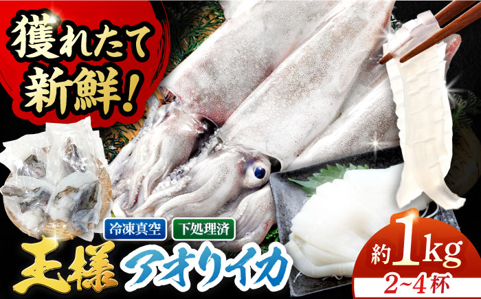 【イカの王様】アオリイカ 1kg（2〜4杯） 肉厚 甘い 冷凍 刺身 五島市/金沢鮮魚 [PEP005]