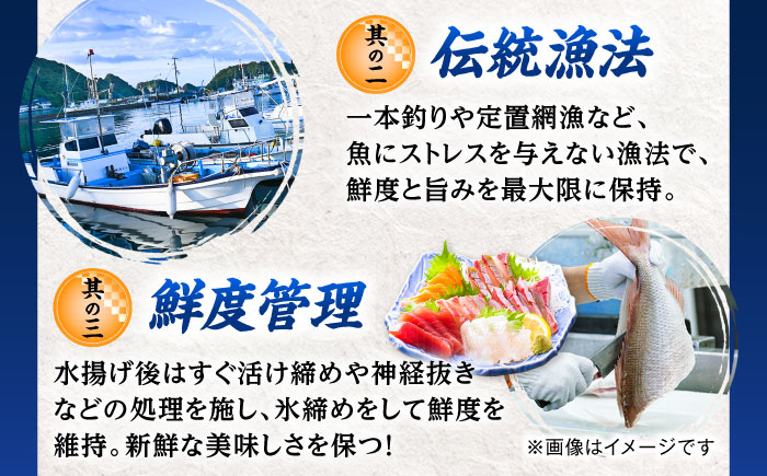 【6回定期便】五島のお魚！満喫定期便（4人前）/五島市 [PZX055]