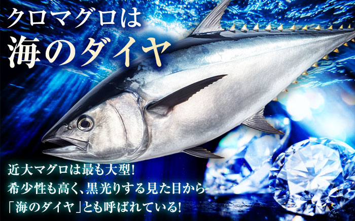 【冷蔵】長崎県五島産 近大マグロ約500g （大トロ/中トロ/赤身） 五島市/五島ヤマフ[PAK010]マグロ