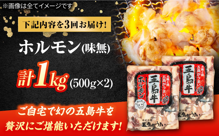 【3回定期便】幻の五島牛ホルモン 1kg 味無し 五島市/ごとう農業協同組合 [PAF091]