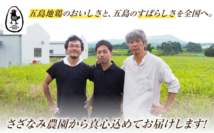 超新鮮 五島地鶏 しまさざなみ1羽分セット 約3kg 五島市/五島さざなみ農園 [PBE001]