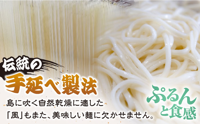 椿うどん　10袋セット　保存食　椿　五島　うどん　手延べ　五島市/中本製麺 [PCR009]