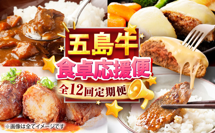 【12回定期便】食卓応援！お届け内容が毎月変わる五島牛定期便 五島市/ごとう農業協同組合 [PAF107]