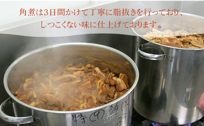 【全3回定期便】長崎角煮まんじゅう10個・大とろ角煮まんじゅう10個・長崎角煮まぶし10個 豚肉 東坡肉 ふわふわ ほかほか 五島市/岩崎本舗 [PFL030]