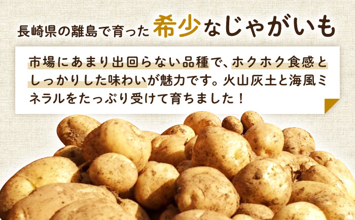 【2026年6月より発送】島の元気なじゃがいも!旨味抜群の『デジマ』2kg 五島市/あわたに農園 [PGO003]
