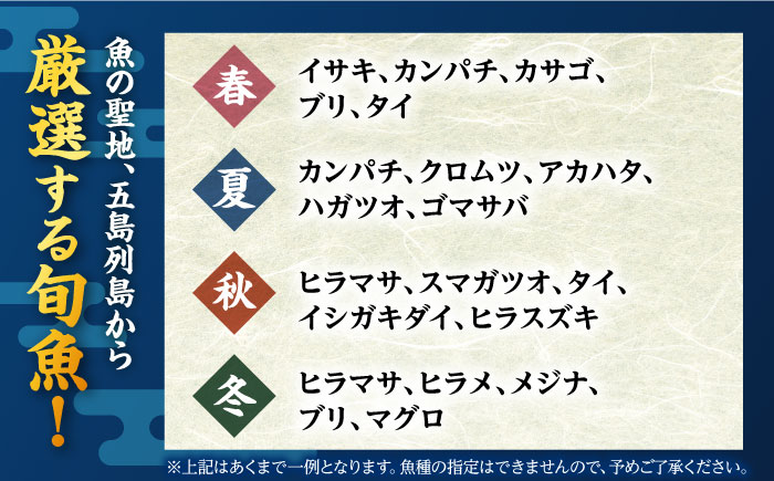 【冷蔵】【下処理済】鮮魚ボックス（魚1種/アオリイカ）五島市/金沢鮮魚[PEP001] 金澤仕立て  鮮魚 冷蔵 真空パック 新鮮 下処理済み 海鮮 刺身 セット 水いか