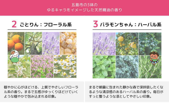 【6回定期便】リップクリーム3本セット 五島市/合資会社椿乃[PAM055]