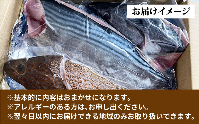 【全4回定期便】旬の地魚セット（3枚卸し）2〜3人前 真空パック 魚介 刺身 五島市 / 五島FF [PBJ001]