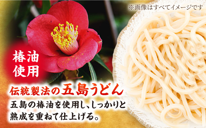 【全3回定期便】椿鯖うどん（具だくさん五島うどん）4人前【大河内商店】 [PAQ009]