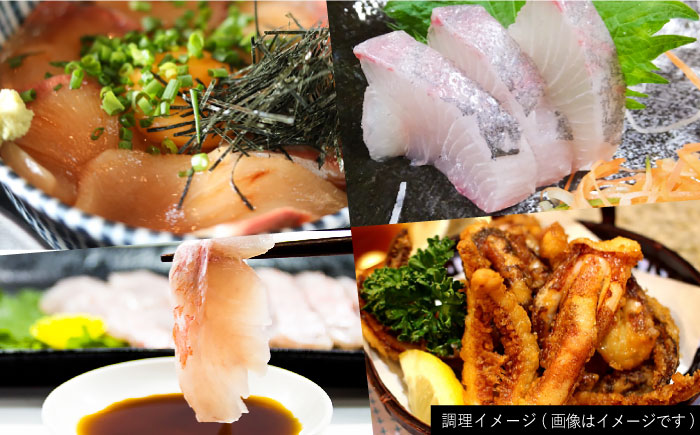 【五島列島直送】朝獲れ鮮魚セット6kg 五島市/鯛福丸水産[PDP012]   魚 鮮魚 セット 海鮮 直送 さかな 詰合せ 冷蔵