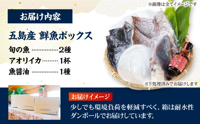 【冷蔵】【下処理済】鮮魚ボックス（魚2種/アオリイカ/魚醤油1種） 五島市/金沢鮮魚[PEP002]  冷蔵 真空パック 新鮮 下処理済み 海鮮 刺身 セット 水いか金澤仕立て  鮮魚 冷蔵 真空パック 新鮮 下処理済み 海鮮 刺身 セット 水いか