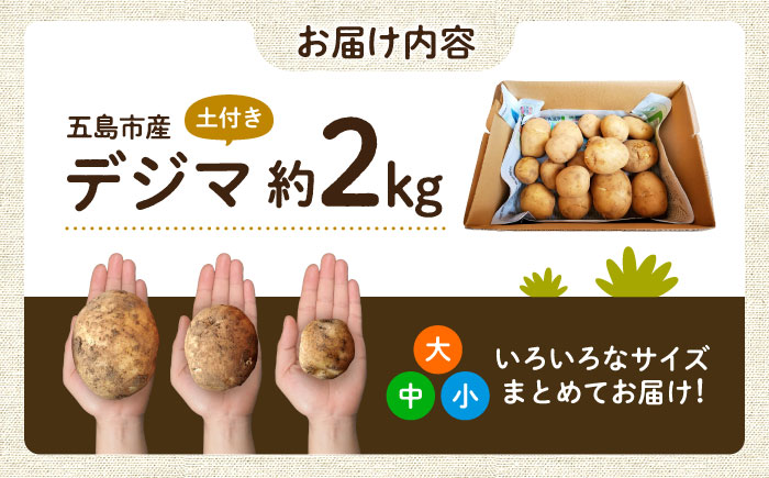 【2026年6月より発送】島の元気なじゃがいも!旨味抜群の『デジマ』2kg 五島市/あわたに農園 [PGO003]