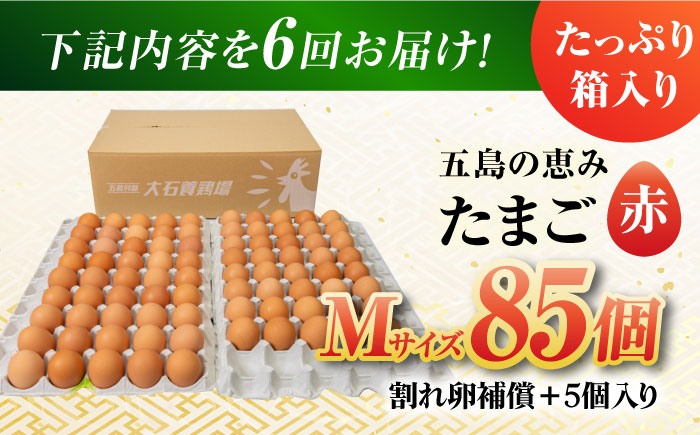 【全6回定期便】【お得な箱入り】五島の恵みたまご Mサイズ 85個入 / 卵 赤玉子 五島市 / 五島列島大石養鶏場 [PFQ015]