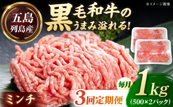 【全3回定期便】五島列島産 黒毛和牛 ミンチ 1kg 五島市/山口Farm [PGJ030]