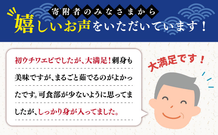 【2026年先行予約】うちわえび約500g（3-9尾） 五島市/五島FF[PBJ011] 希少 ウチワエビ うちわエビ 海老 えび 旬 新鮮 海鮮