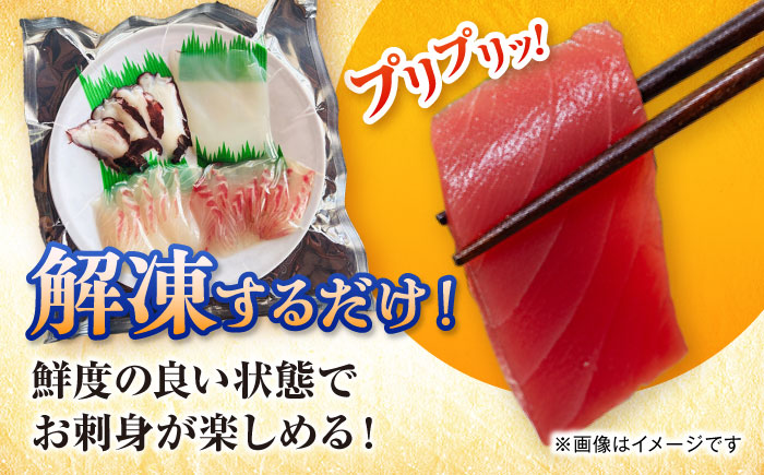 【3回定期便】漁師の極み刺身パック（匠）1皿 五島市/Sun Sea Go Company 魚 おまかせ お任せ 鮮魚 五島列島 [PGL022]