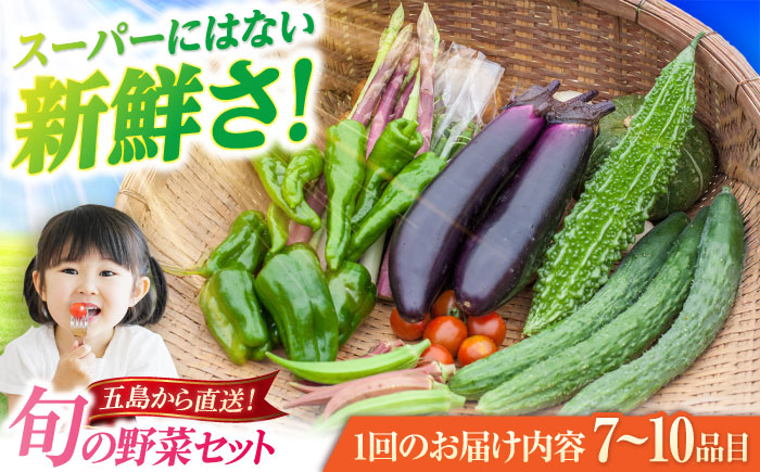 旬の野菜セット（7-10品目10kg未満）野菜 やさい 詰め合わせ セット五島市/やぁしゃ便 [PBG003]
