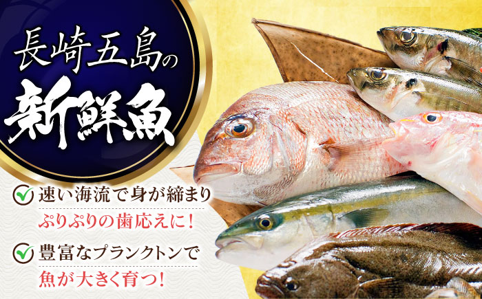 【3回定期便】旬魚のゆずみそ漬け5袋 ※魚種は旬の魚をおまかせ 五島市/金沢鮮魚[PEP046]