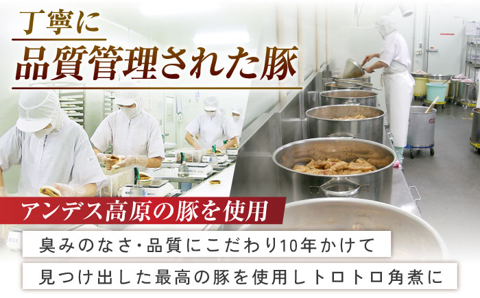 長崎角煮まんじゅう8個入 （袋） 豚肉 東坡肉 レンジ ふわふわ ほかほか 五島市/岩崎本舗 [PFL005]