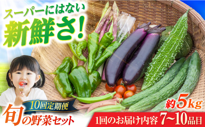 【10回定期便】旬野菜セット7〜10品目（五島列島産） 5kg未満　五島市/やぁしゃ便 [PBG008]