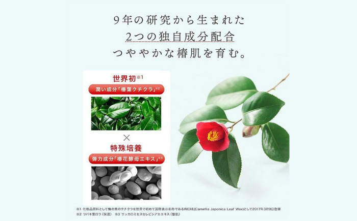 椿の葉 保湿水 150ml・3本セット 五島市/五島の椿 [PEG030]