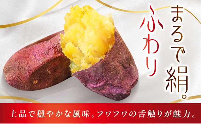 【6回定期便】お届け内容が毎月変わる！焼き芋定期便 五島市/ごと株式会社 [PBY065]