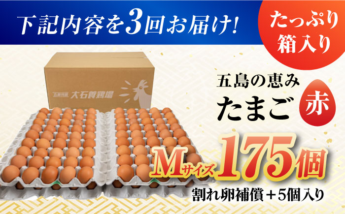 【全3回定期便】【お得な箱入り】五島の恵みたまご Mサイズ 175個入 / 卵 赤玉子 五島市 / 五島列島大石養鶏場 [PFQ020]