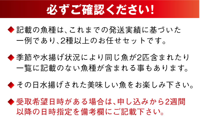 【五島列島直送】朝獲れ高級鮮魚セット4kg 五島市 / 鯛福丸水産[PDP003]  魚 鮮魚 セット 海鮮 直送 さかな 詰合せ 冷蔵