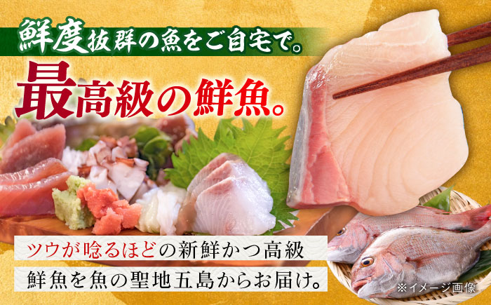 【全4回定期便】【五島列島直送】朝獲れ高級鮮魚セット2kg 五島市 / 鯛福丸水産[PDP005]  魚 鮮魚 セット 海鮮 直送 さかな 詰合せ 冷蔵 定期