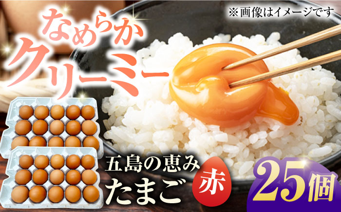 【お得な箱入り】五島の恵みたまご M〜Lサイズ 25個入 / 卵 赤玉子 五島市 / 五島列島大石養鶏場 [PFQ037]