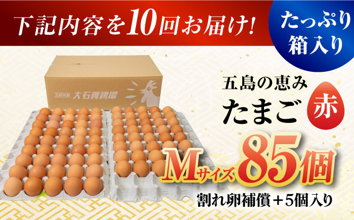 【全10回定期便】【お得な箱入り】五島の恵みたまご Mサイズ 85個入 / 卵 赤玉子 五島市 / 五島列島大石養鶏場 [PFQ016]