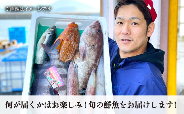 【全4回定期便】五島列島直送！朝獲れ鮮魚セット4kg　鯛福丸水産/五島市 [PDP014]