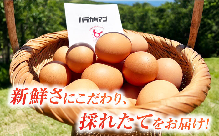 【全6回定期便】【お得な箱入り】バラカタマゴ 45個入 M〜Lサイズ 卵 玉子 たまご 国産 五島市 / 五島列島大石養鶏場 [PFQ061]