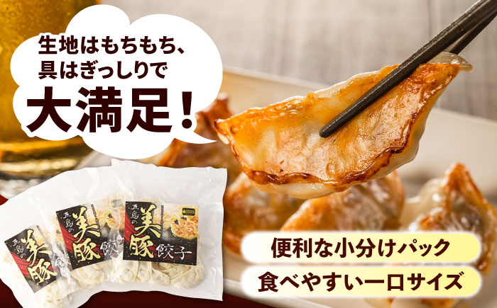 【3回定期便】美豚餃子75個（15個×5袋） 五島市/長崎フードサービス[PEL006]  冷凍 餃子 飲茶 中華 ぎょうざ ギョウザ