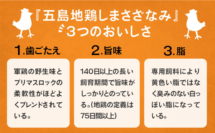 【島の環境が生み出す鶏肉】うま味凝縮！五島地鶏しまさざなみ鍋セット （2人前）  地鶏 鶏肉  鍋 五島市 / 五島さざなみ農園 [PBE005]